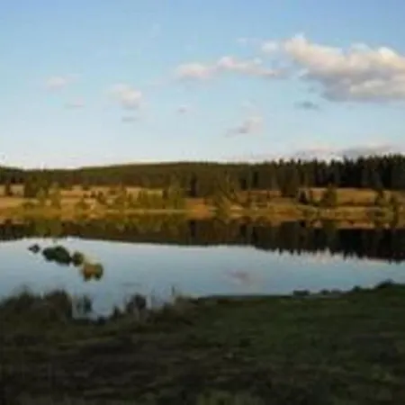In In West Bohemia With Garden